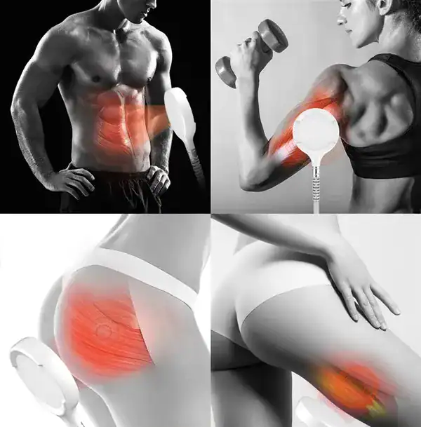 Stimulation musculaire EMS ciblée sur les abdominaux, bras et fessiers lors d’un traitement professionnel